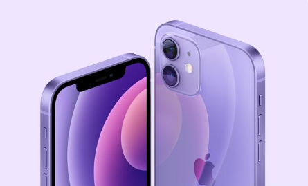 普兰苹果手机维修分享紫色版iPhone 12有什么技术亮点 