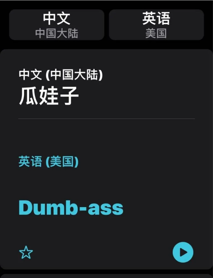 普兰苹果手机维修分享iOS14的“翻译太懂了”怎么用 